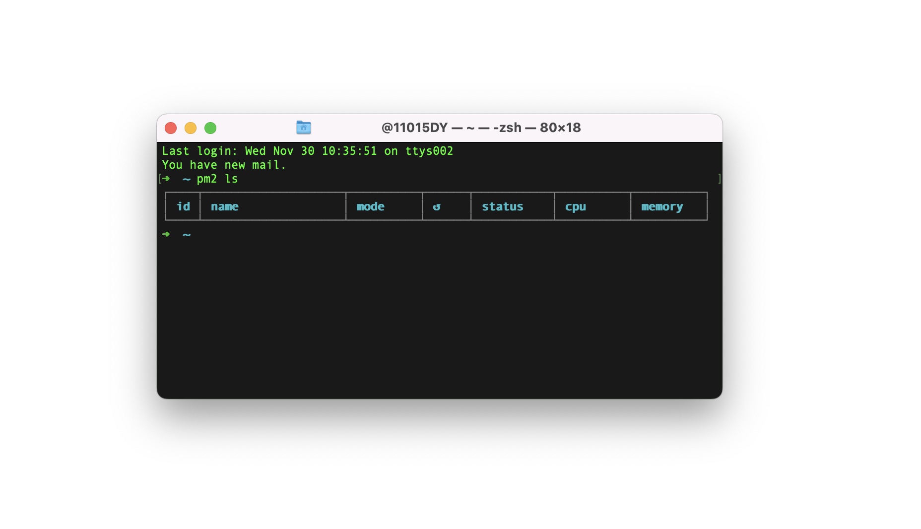 PM2 ls command